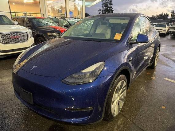 TESLA MODEL Y 2024 7SAYGDEE0RF062509 image